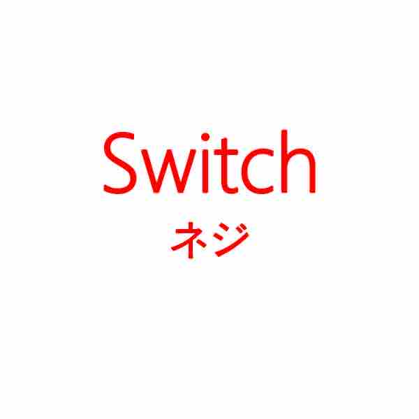 Switch ネジ