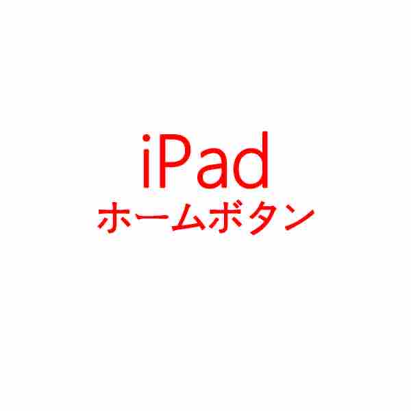 iPad ホームボタン